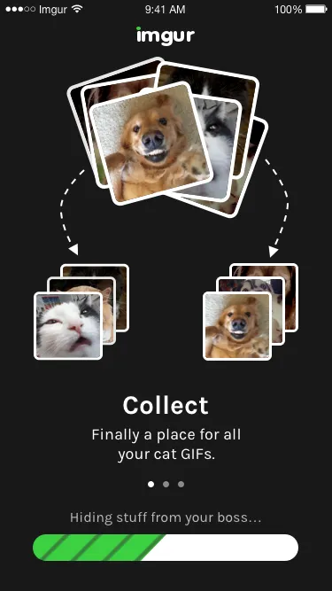 Collections profile with curated hand-picked content